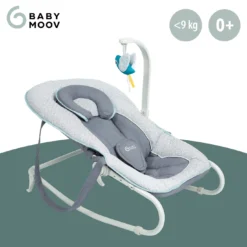 Wippe Graphik