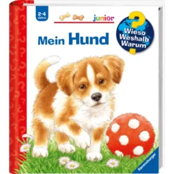 WWW junior: Mein Hund